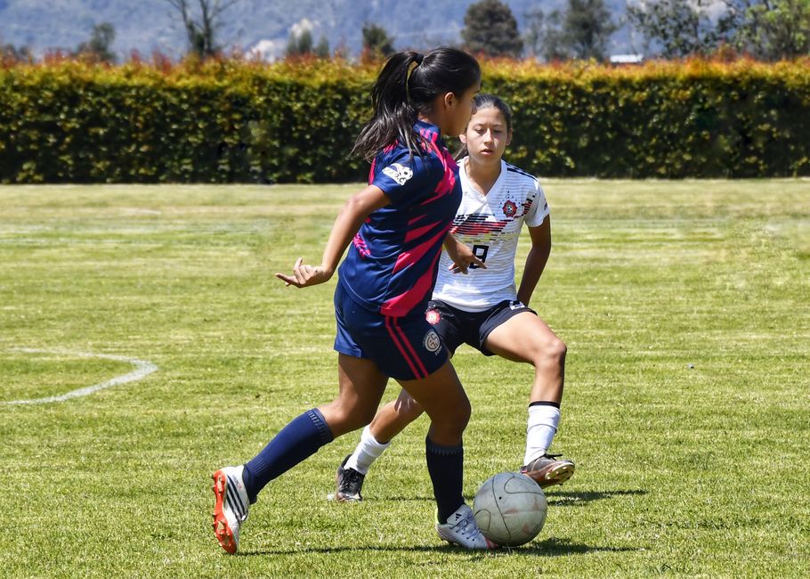 Two women playing football skillfully on a grass field, showcasing athletic sportsmanship outdoors.